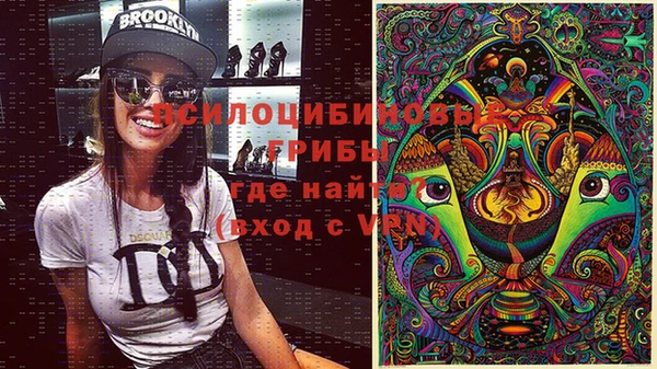 каннабис Белокуриха